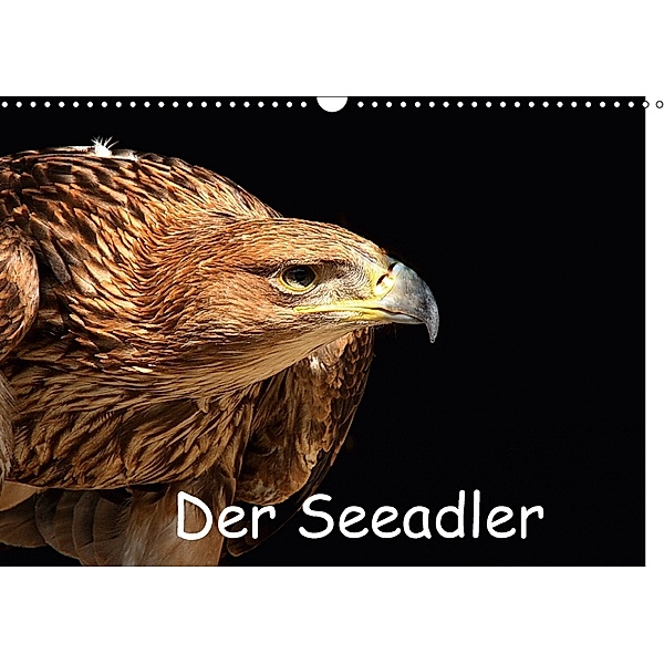Der Seeadler (Wandkalender 2018 DIN A3 quer), Arno Klatt