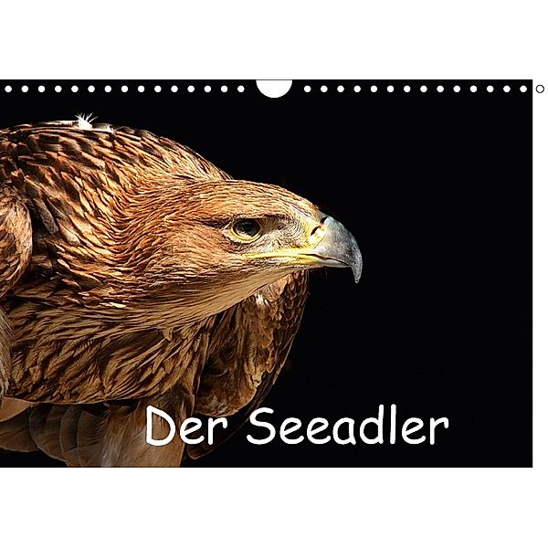 Der Seeadler (Wandkalender 2018 DIN A4 quer), Arno Klatt