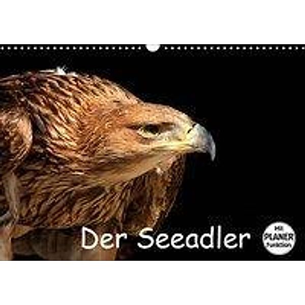 Der Seeadler (Wandkalender 2019 DIN A3 quer), Arno Klatt