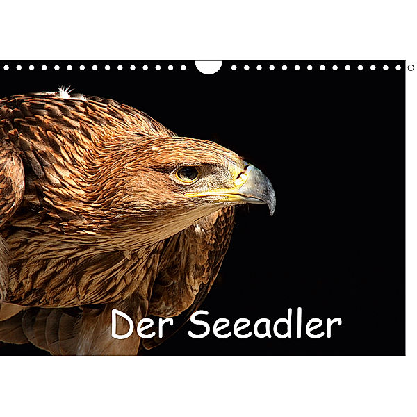 Der Seeadler (Wandkalender 2019 DIN A4 quer), Arno Klatt