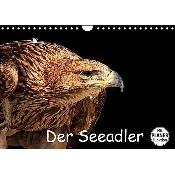 Der Seeadler (Wandkalender 2019 DIN A4 quer), Arno Klatt