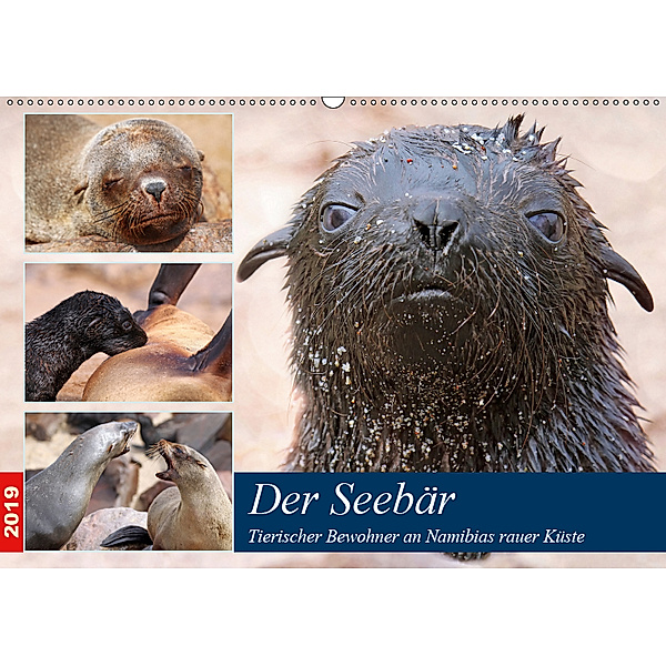 Der Seebär 2019 (Wandkalender 2019 DIN A2 quer), Wibke Woyke