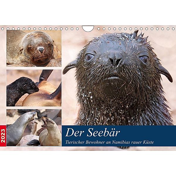 Der Seebär 2023 (Wandkalender 2023 DIN A4 quer), Wibke Woyke
