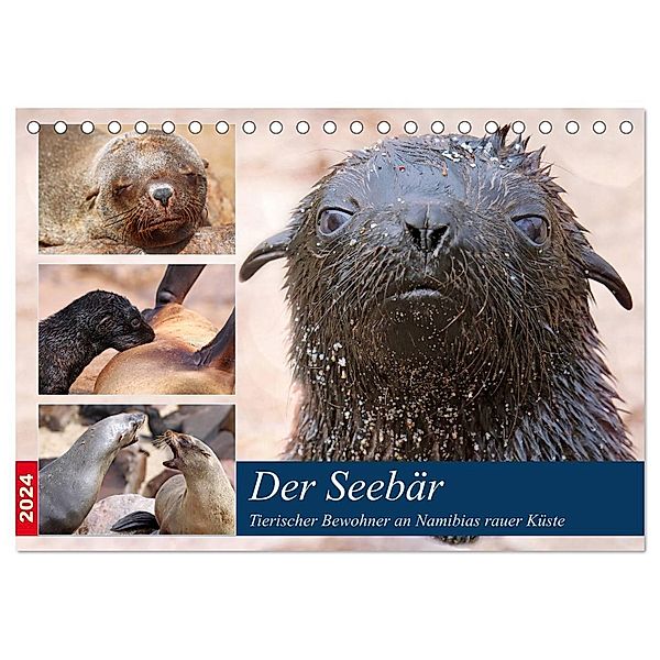 Der Seebär 2024 (Tischkalender 2024 DIN A5 quer), CALVENDO Monatskalender, Wibke Woyke