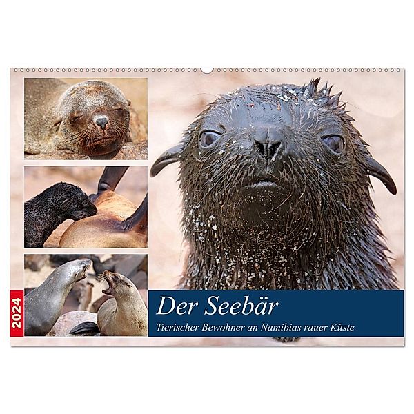Der Seebär 2024 (Wandkalender 2024 DIN A2 quer), CALVENDO Monatskalender, Wibke Woyke
