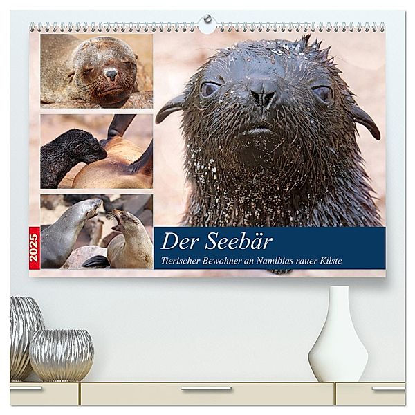Der Seebär 2025 (hochwertiger Premium Wandkalender 2025 DIN A2 quer), Kunstdruck in Hochglanz, Calvendo, Wibke Woyke