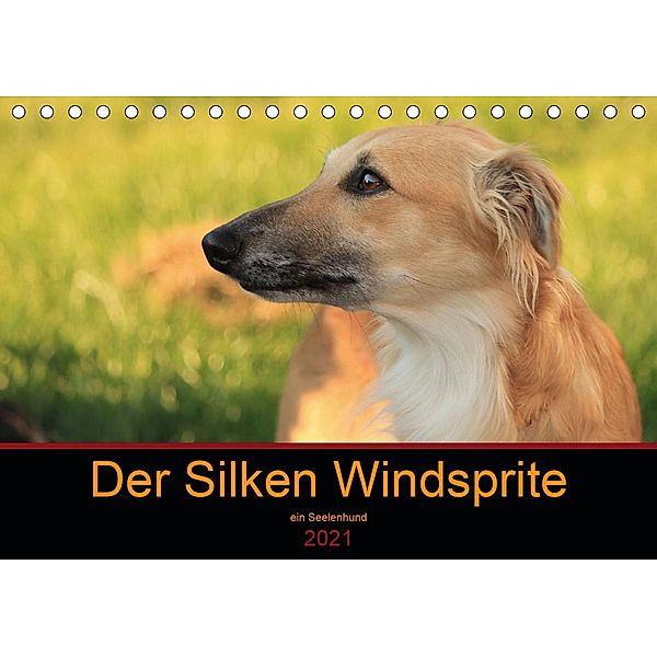 Der Silken Windsprite - ein Seelenhund (Tischkalender 2021 DIN A5 quer), Sabine Alexandra Wais