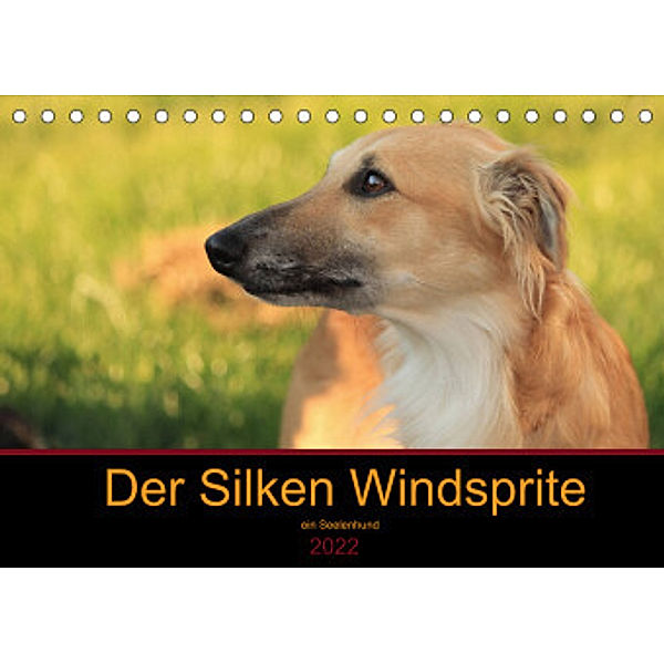 Der Silken Windsprite - ein Seelenhund (Tischkalender 2022 DIN A5 quer), Sabine Alexandra Wais