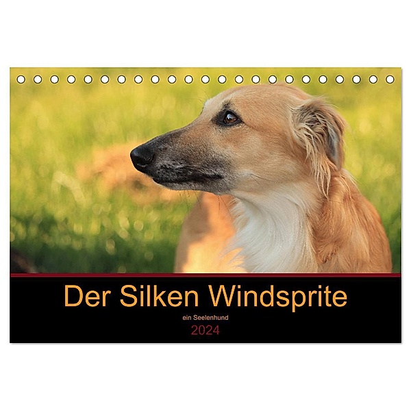 Der Silken Windsprite - ein Seelenhund (Tischkalender 2024 DIN A5 quer), CALVENDO Monatskalender, Sabine Alexandra Wais