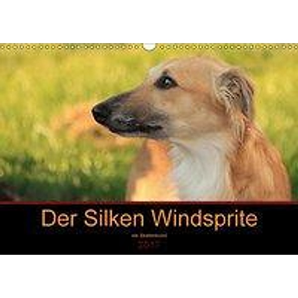 Der Silken Windsprite - ein Seelenhund (Wandkalender 2017 DIN A3 quer), Sabine Alexandra Wais