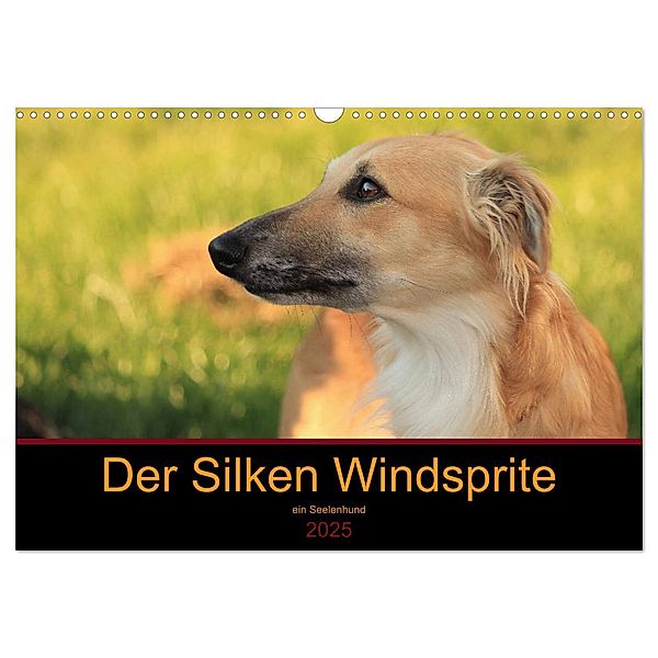 Der Silken Windsprite - ein Seelenhund (Wandkalender 2025 DIN A3 quer), CALVENDO Monatskalender, Calvendo, Sabine Alexandra Wais