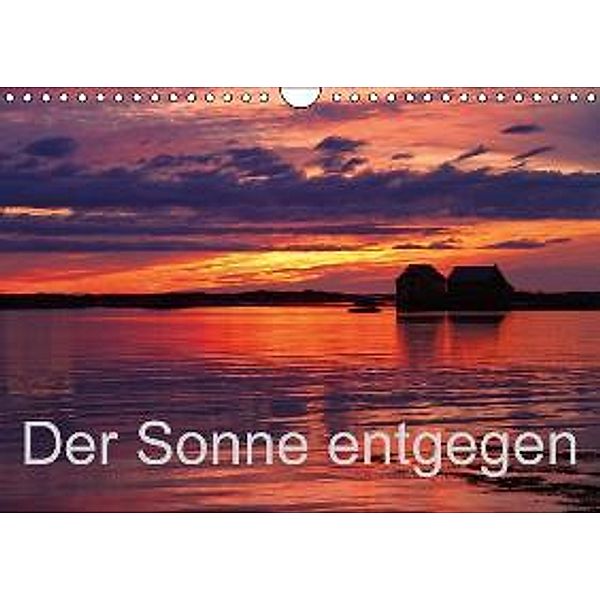 Der Sonne entgegen (Wandkalender 2015 DIN A4 quer), Gerhard Albicker