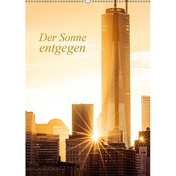 Der Sonne entgegen (Wandkalender 2019 DIN A2 hoch), Sabine Grossbauer