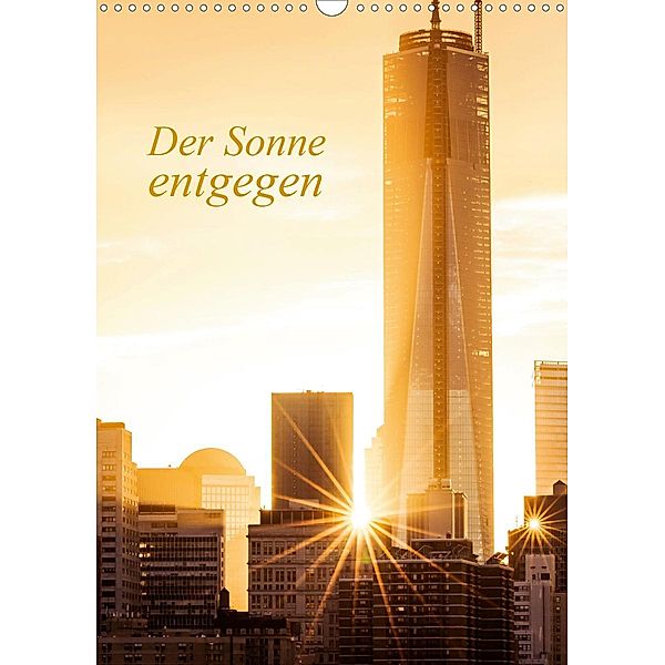 Der Sonne entgegen (Wandkalender 2020 DIN A3 hoch), Sabine Grossbauer
