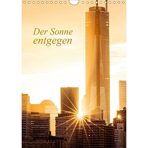 Der Sonne entgegen (Wandkalender 2020 DIN A4 hoch), Sabine Grossbauer