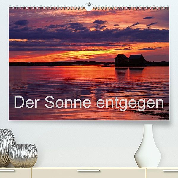 Der Sonne entgegen(Premium, hochwertiger DIN A2 Wandkalender 2020, Kunstdruck in Hochglanz), Gerhard Albicker