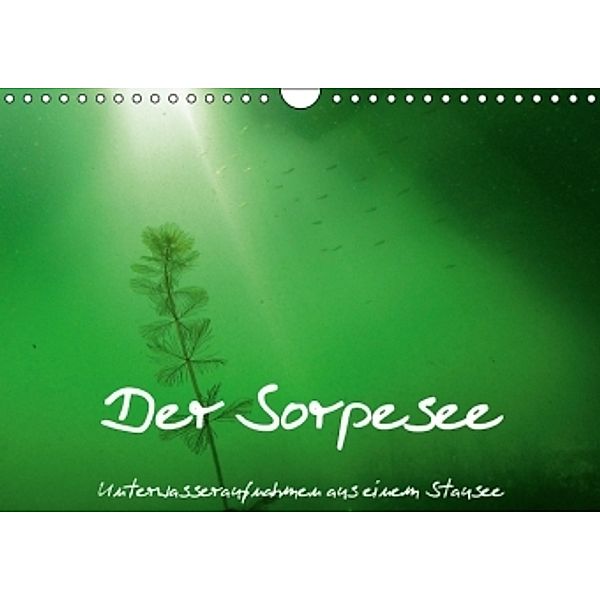 Der Sorpesee - Unterwasseraufnahmen aus einem Stausee (Wandkalender 2014 DIN A4 quer), Christian Suttrop