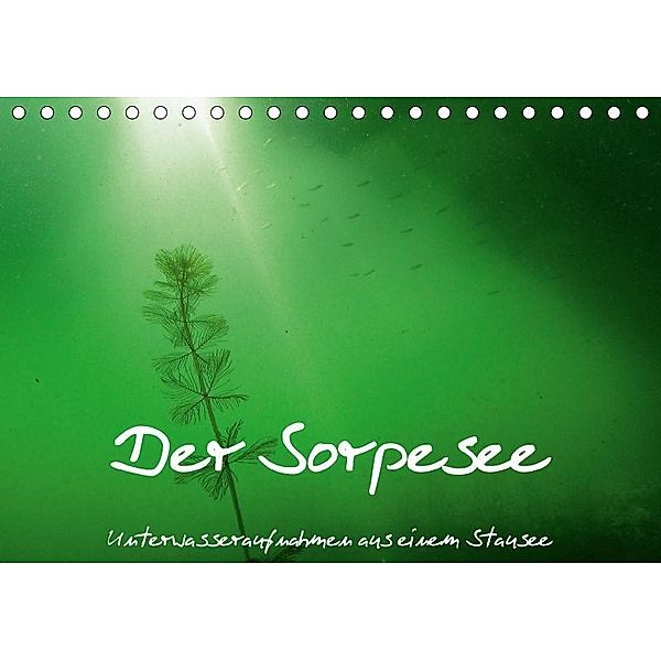 Der Sorpesee - Unterwasseraufnahmen aus einem Stausee (Tischkalender 2017 DIN A5 quer), Christian Suttrop