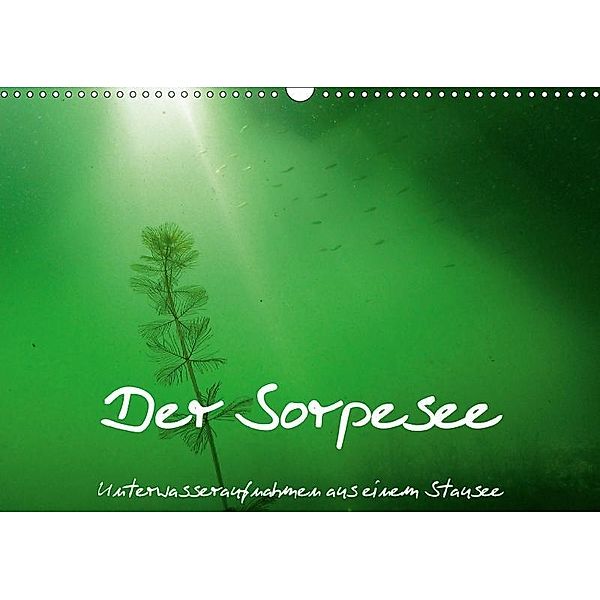 Der Sorpesee - Unterwasseraufnahmen aus einem Stausee (Wandkalender 2017 DIN A3 quer), Christian Suttrop