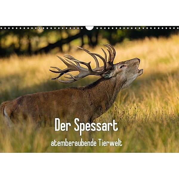 Der Spessart - atemberaubende Tierwelt (Wandkalender 2017 DIN A3 quer), Björn Reibert