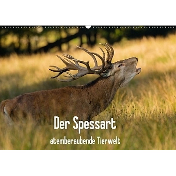 Der Spessart - atemberaubende Tierwelt (Wandkalender 2017 DIN A2 quer), Björn Reibert