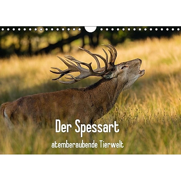 Der Spessart - atemberaubende Tierwelt (Wandkalender 2017 DIN A4 quer), Björn Reibert
