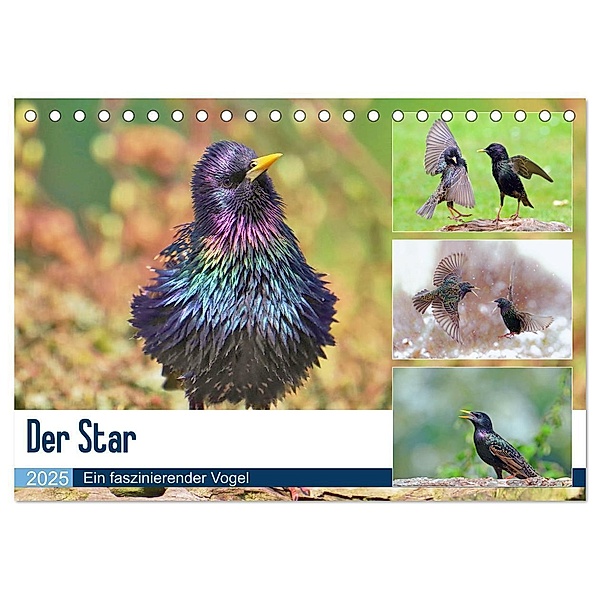 Der Star (Tischkalender 2025 DIN A5 quer), CALVENDO Monatskalender, Calvendo, Lutz Klapp