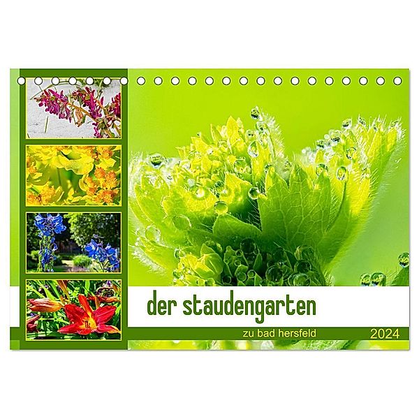 der staudengarten zu bad hersfeld (Tischkalender 2024 DIN A5 quer), CALVENDO Monatskalender, steffen sennewald