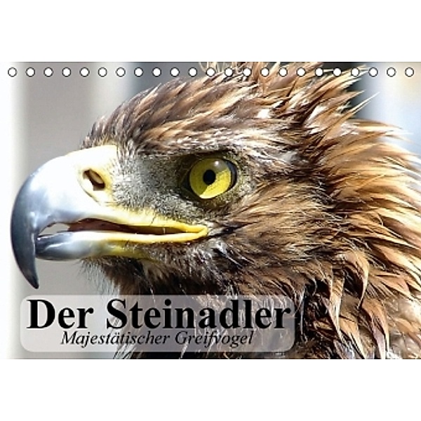 Der Steinadler. Majestätischer Greifvogel (Tischkalender 2016 DIN A5 quer), Elisabeth Stanzer