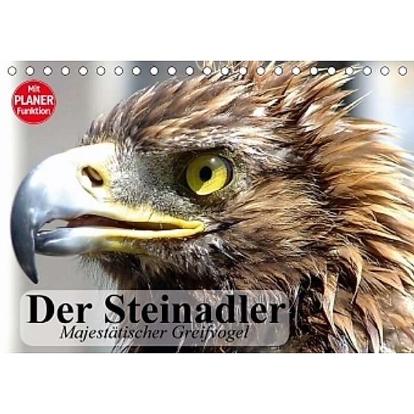 Der Steinadler. Majestätischer Greifvogel (Tischkalender 2017 DIN A5 quer), Elisabeth Stanzer