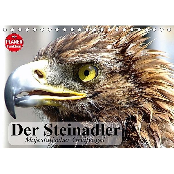 Der Steinadler. Majestätischer Greifvogel (Tischkalender 2018 DIN A5 quer), Elisabeth Stanzer