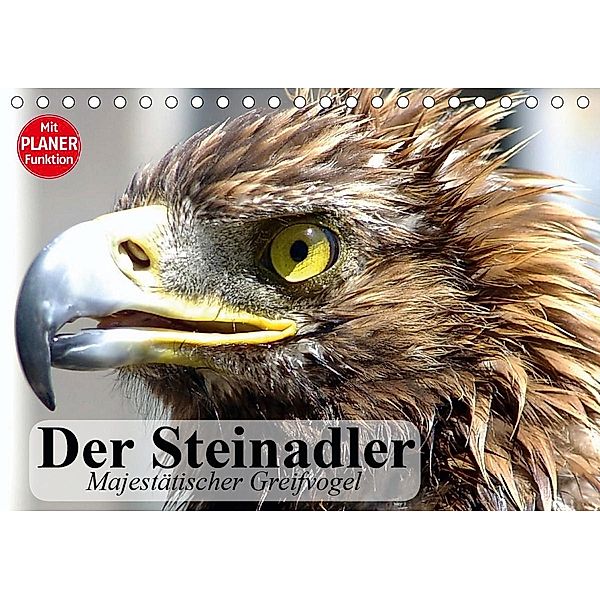 Der Steinadler. Majestätischer Greifvogel (Tischkalender 2021 DIN A5 quer), Elisabeth Stanzer