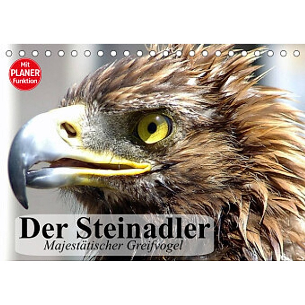 Der Steinadler. Majestätischer Greifvogel (Tischkalender 2022 DIN A5 quer), Elisabeth Stanzer