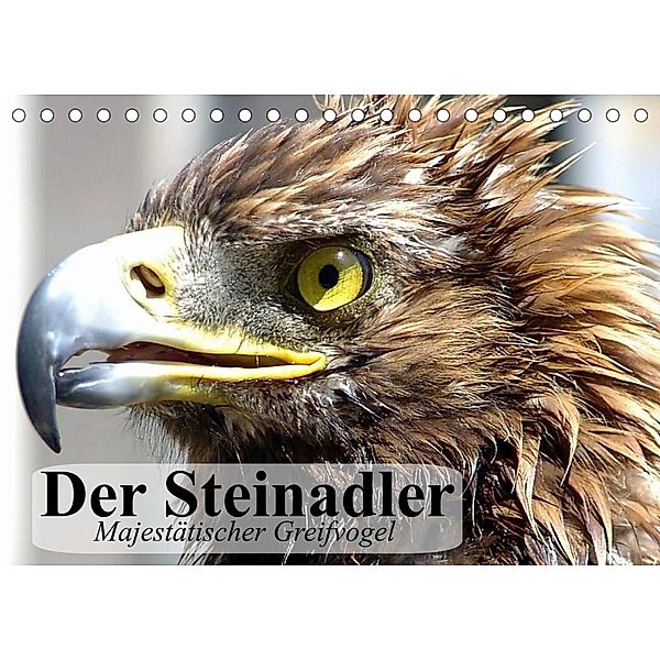 Der Steinadler. Majestätischer Greifvogel (Tischkalender 2023 DIN A5 quer), Elisabeth Stanzer