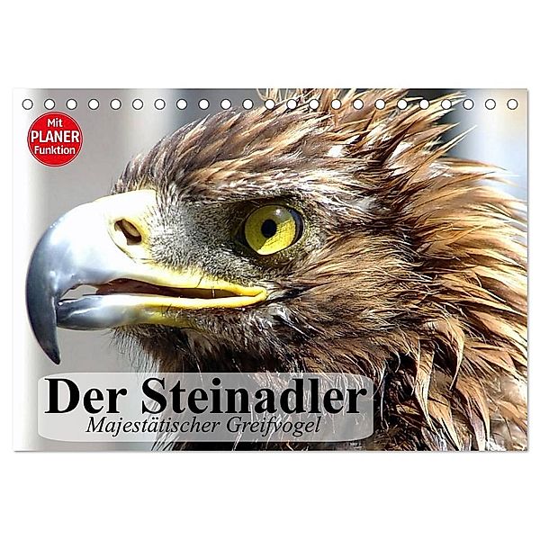Der Steinadler. Majestätischer Greifvogel (Tischkalender 2024 DIN A5 quer), CALVENDO Monatskalender, Elisabeth Stanzer