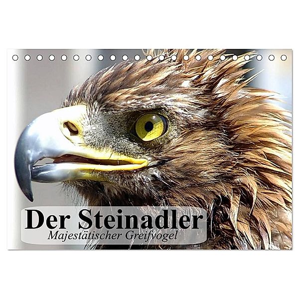 Der Steinadler. Majestätischer Greifvogel (Tischkalender 2024 DIN A5 quer), CALVENDO Monatskalender, Elisabeth Stanzer