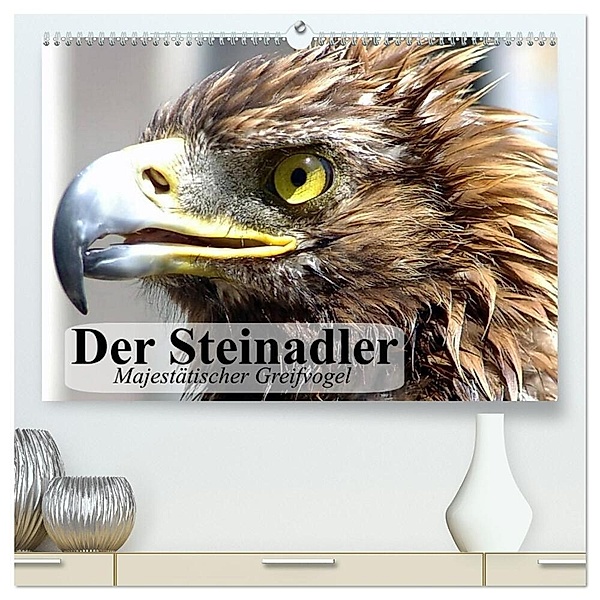 Der Steinadler. Majestätischer Greifvogel (hochwertiger Premium Wandkalender 2024 DIN A2 quer), Kunstdruck in Hochglanz, Elisabeth Stanzer