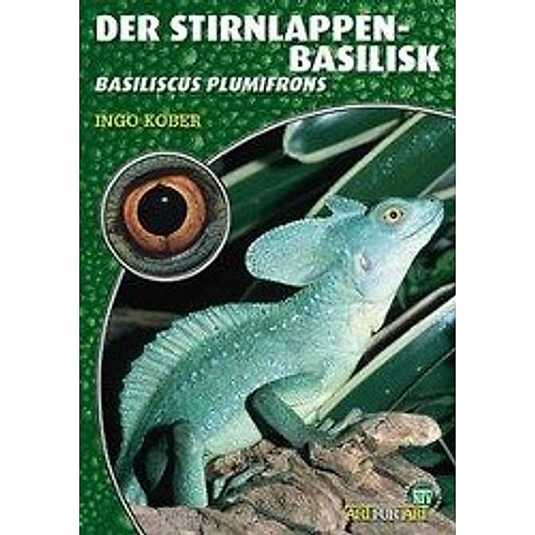 Der Stirnlappenbasilisk, Ingo Kober