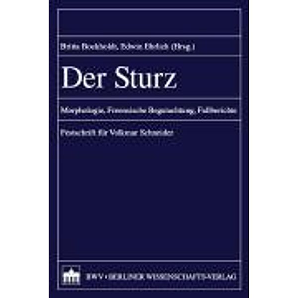 Der Sturz