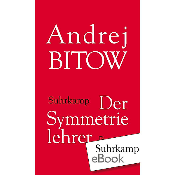 Der Symmetrielehrer, Andrej Bitow