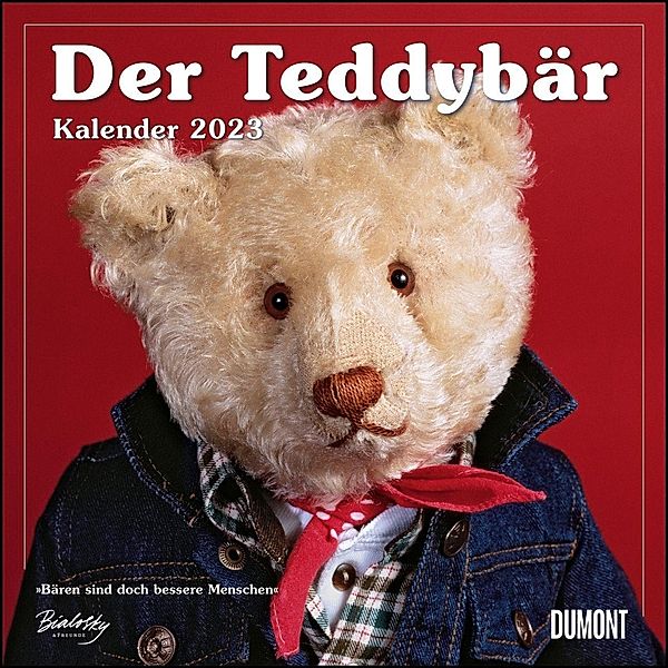 Der Teddybär 2023 - Broschürenkalender - Wandkalender - Format 30 x 30 cm