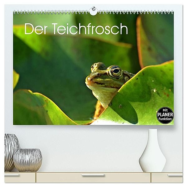 Der Teichfrosch (hochwertiger Premium Wandkalender 2024 DIN A2 quer), Kunstdruck in Hochglanz, Christine Schmutzler-Schaub