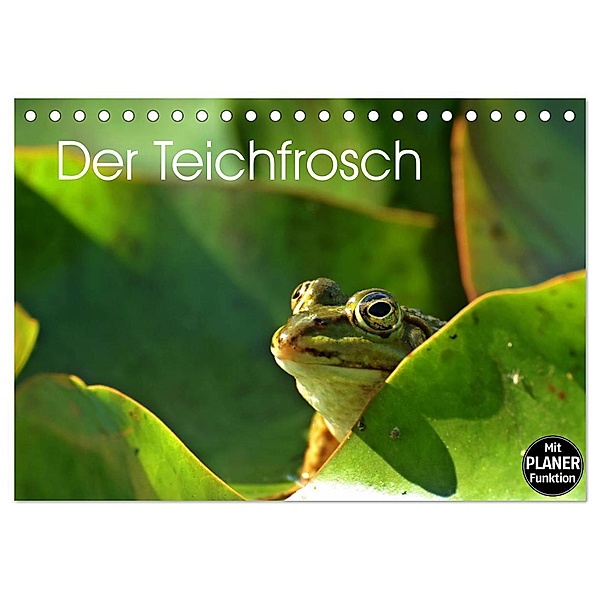 Der Teichfrosch (Tischkalender 2024 DIN A5 quer), CALVENDO Monatskalender, Christine Schmutzler-Schaub