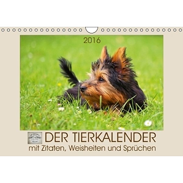 Der Tierkalender mit Zitaten, Weisheiten und Sprüchen (Wandkalender 2016 DIN A4 quer), Angela Dölling