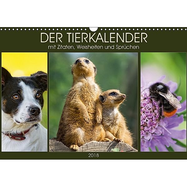 Der Tierkalender mit Zitaten, Weisheiten und Sprüchen (Wandkalender 2018 DIN A3 quer) Dieser erfolgreiche Kalender wurde, Angela Dölling