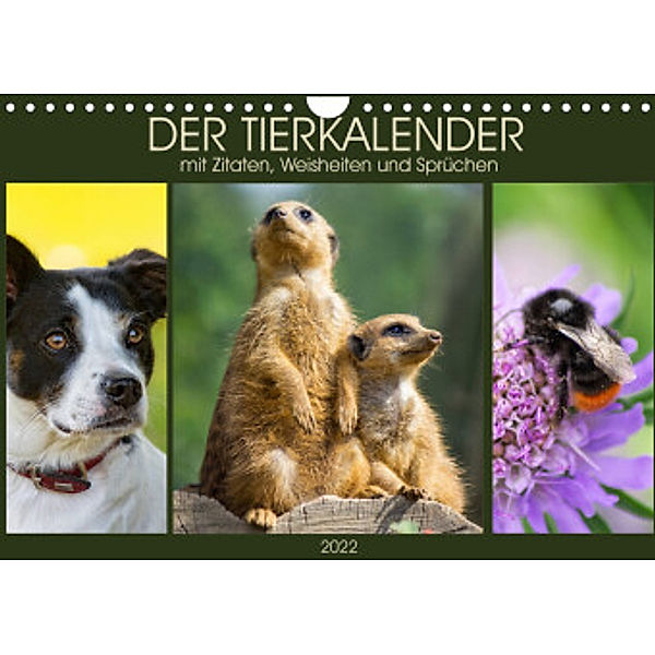 Der Tierkalender mit Zitaten, Weisheiten und Sprüchen (Wandkalender 2022 DIN A4 quer), AD DESIGN Photo + PhotoArt, Angela Dölling