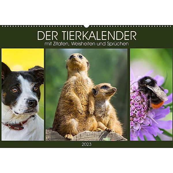 Der Tierkalender mit Zitaten, Weisheiten und Sprüchen (Wandkalender 2023 DIN A2 quer), Angela Dölling, AD DESIGN Photo + PhotoArt