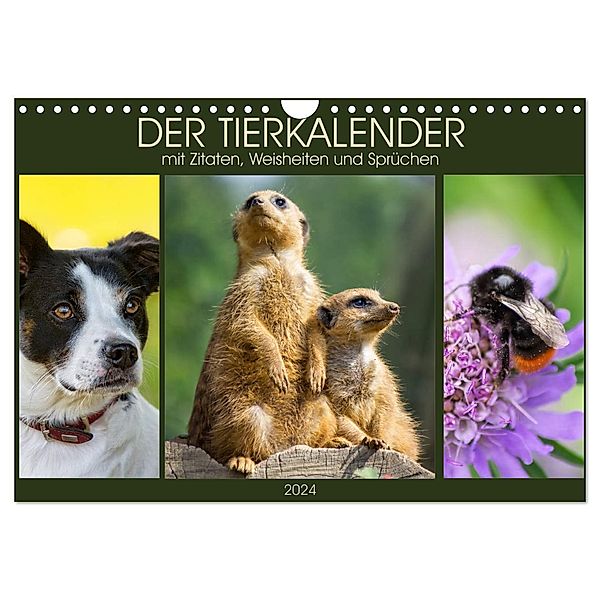 Der Tierkalender mit Zitaten, Weisheiten und Sprüchen (Wandkalender 2024 DIN A4 quer), CALVENDO Monatskalender, AD DESIGN Photo + PhotoArt, Angela Dölling