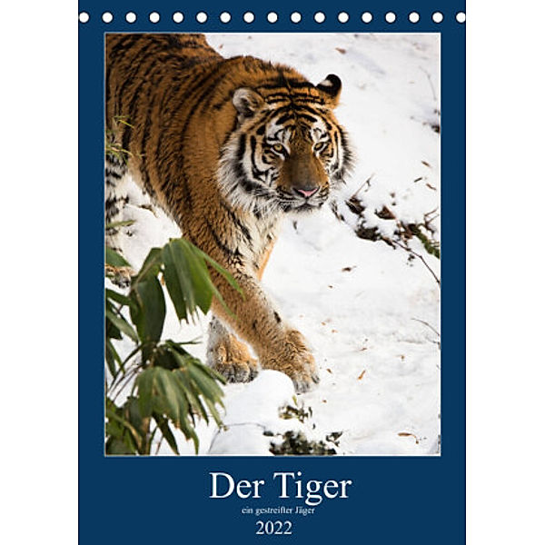 Der Tiger - ein gestreifter Jäger (Tischkalender 2022 DIN A5 hoch), Cloudtail the Snow Leopard