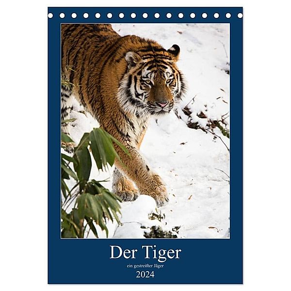 Der Tiger - ein gestreifter Jäger (Tischkalender 2024 DIN A5 hoch), CALVENDO Monatskalender, Cloudtail the Snow Leopard